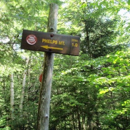 Andrew Cowen Photo 25