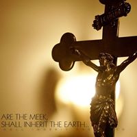 Stacy Simons Photo 6