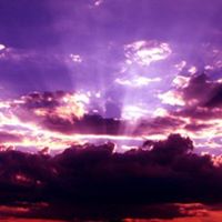 Shelly Mathews Photo 9