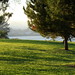 Luis Laguna Photo 32