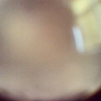 Adam Gutierrez Photo 14