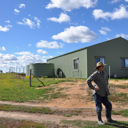 Lawrence Mclean Photo 3