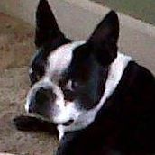 Ruben Maldonado Photo 21