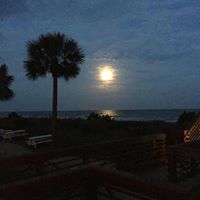 Peggy Todd Photo 28