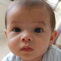 Lisa Inman Photo 18