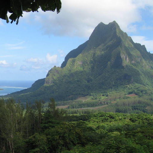 Vera Wright Photo 33