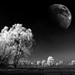 Gerald Berg Photo 13