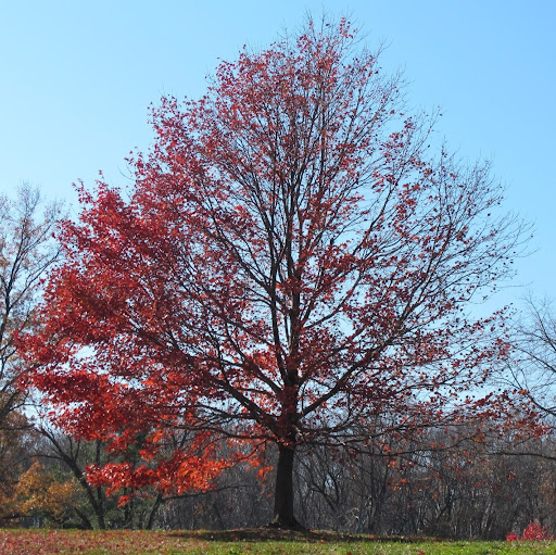 Alyssa Perry Photo 36