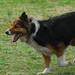 Donald Thomas Photo 30