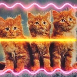 Rebecca Sheehan Photo 19