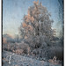 Ronald Winters Photo 38