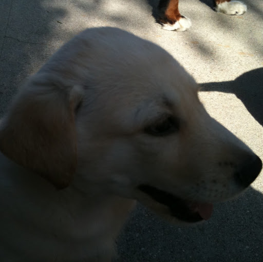 Shannon Stokes Photo 27