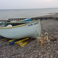 Judith Hayward Photo 15