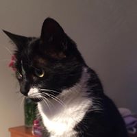 Elizabeth Jarvis Photo 20 Elizabeth Jarvis Photo 20