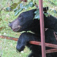 Jenny Davis Photo 22