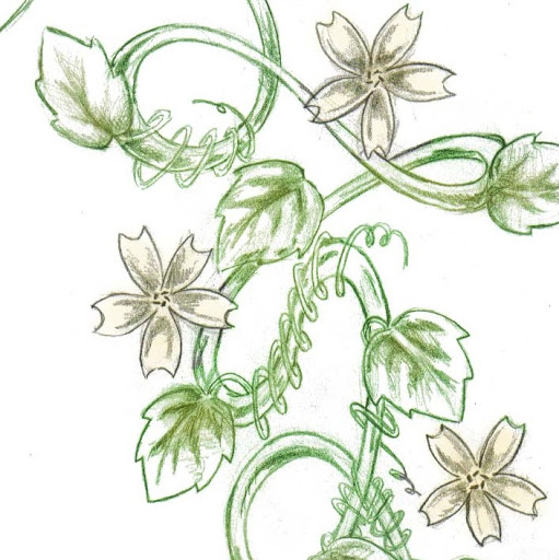 Jackie Adams Photo 27