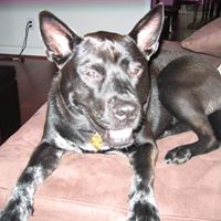 John Grogan Photo 13 John Grogan Photo 13