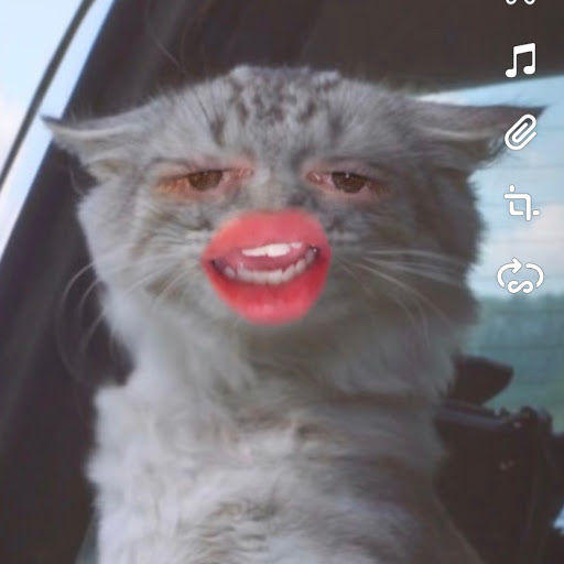 George Mitchell Photo 42