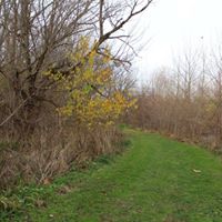 Debra Frantz Photo 7