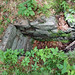 Lynn Wolf Photo 43