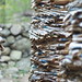 Steven Seigel Photo 17