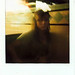 Michelle Yoon Photo 9