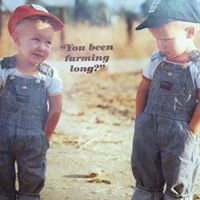 Renee Loomis Photo 3