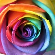 Natalie Chavez Photo 41