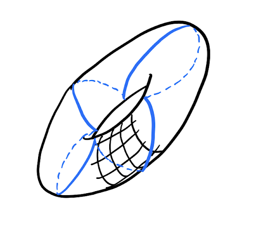 Mark Shoemaker Photo 14