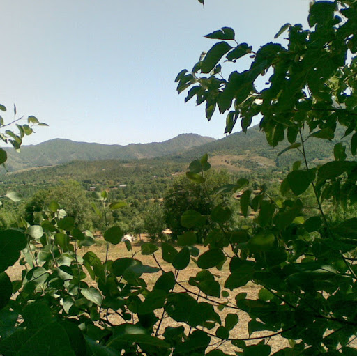 Muhammad Javed Photo 24 Muhammad Javed Photo 24