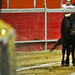 Pablo Carbajal Photo 10