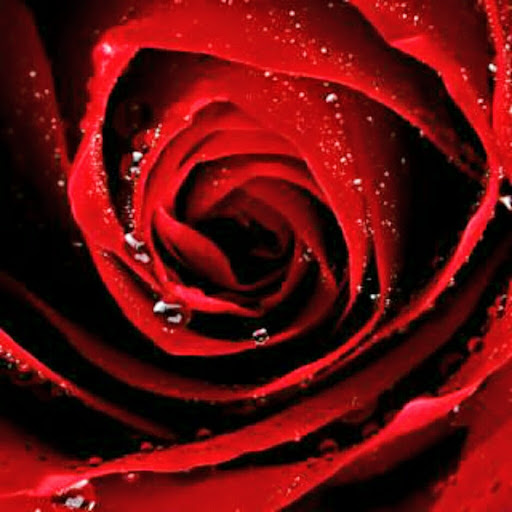 Anna Clayton Photo 17