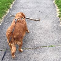 Naomi Ellis Photo 20