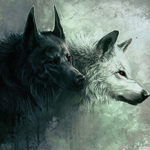 Jeremiah Cook Photo 36