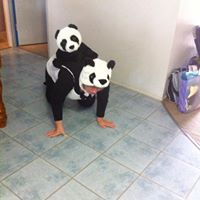 Elizabeth Frazer Photo 13 Elizabeth Frazer Photo 13