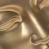 Sheetal Sood Photo 11