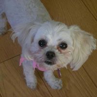 Christine Colosimo Photo 8