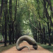David Cragg Photo 37