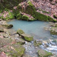 Marie Mcmahon Photo 22 Marie Mcmahon Photo 22