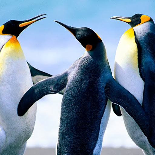 Barbara Shepherd Photo 11