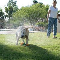 Jeffrey Haskell Photo 11