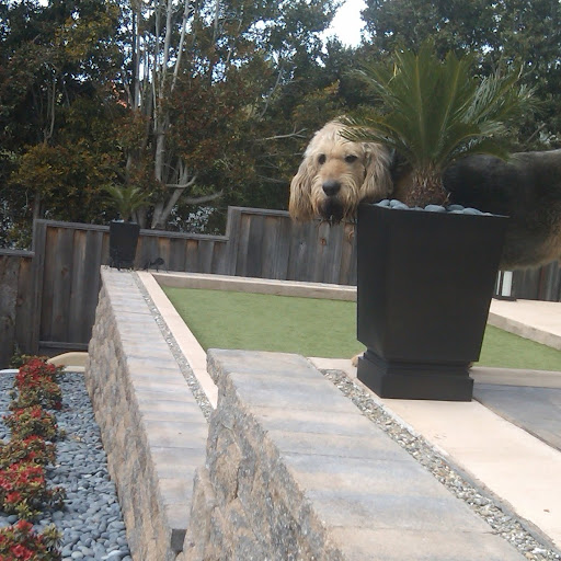 Connie Glaspie Photo 4