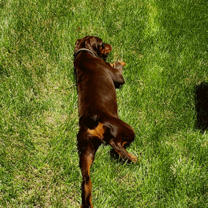 Catherine Powell Photo 18