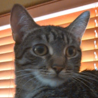 Pedro Ramirez Photo 44 Pedro Ramirez Photo 44