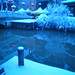 John Feng Photo 9