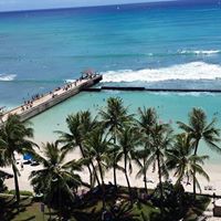 Sandra Whitmore Photo 18