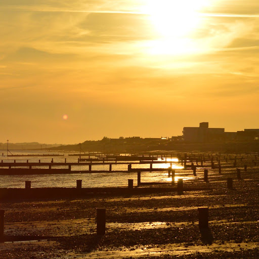 Darren Mcgill Photo 7