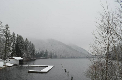 Elizabeth Curley Photo 8