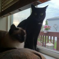 Debra Welch Photo 14