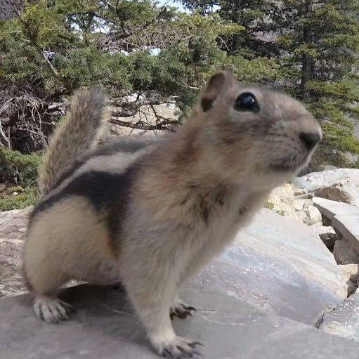 Michael Stark Photo 39